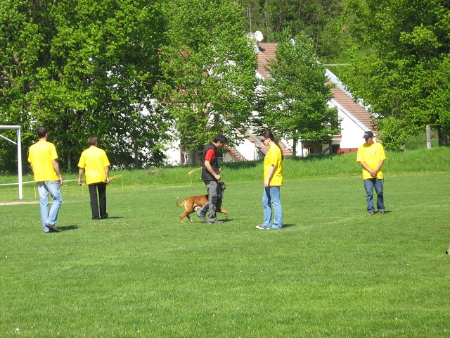 www.atibox.net * www.euroboxer.eu * www.boxergenealogia.eu